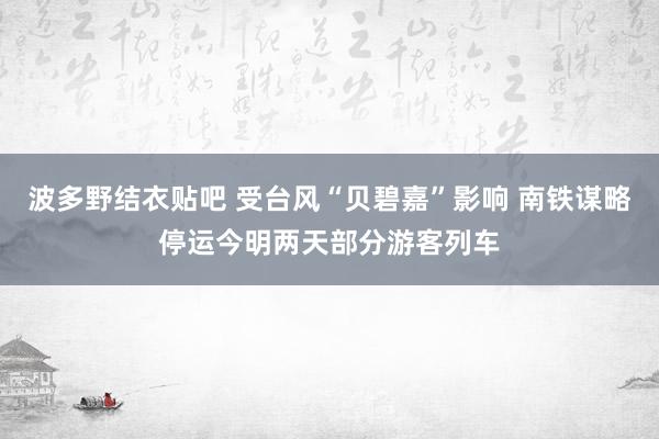 波多野结衣贴吧 受台风“贝碧嘉”影响 南铁谋略停运今明两天部分游客列车