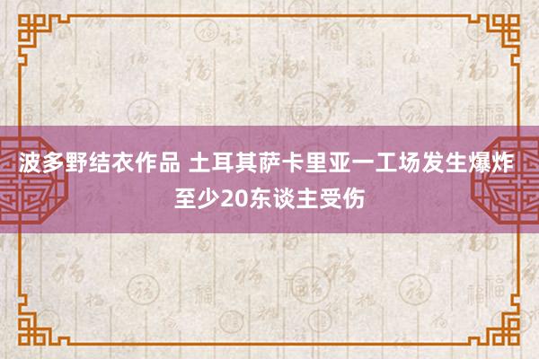 波多野结衣作品 土耳其萨卡里亚一工场发生爆炸 至少20东谈主受伤