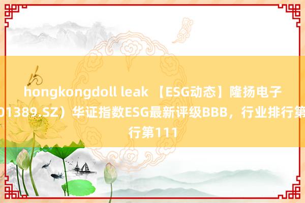 hongkongdoll leak 【ESG动态】隆扬电子（301389.SZ）华证指数ESG最新评级BBB，行业排行第111