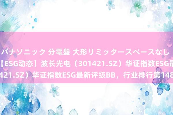 パナソニック 分電盤 大形リミッタースペースなし 露出・半埋込両用形 【ESG动态】波长光电（301421.SZ）华证指数ESG最新评级BB，行业排行第148