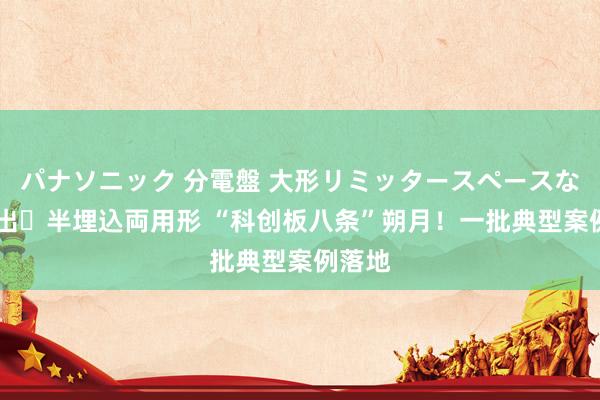 パナソニック 分電盤 大形リミッタースペースなし 露出・半埋込両用形 “科创板八条”朔月！一批典型案例落地