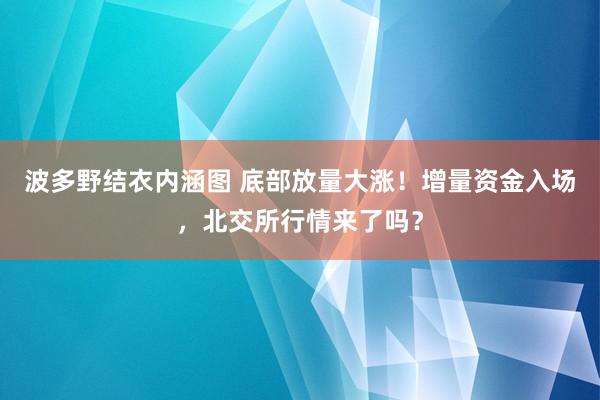 波多野结衣内涵图 底部放量大涨！增量资金入场，北交所行情来了吗？