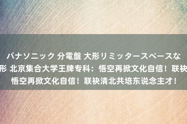 パナソニック 分電盤 大形リミッタースペースなし 露出・半埋込両用形 北京集合大学王牌专科：悟空再掀文化自信！联袂清北共培东说念主才！