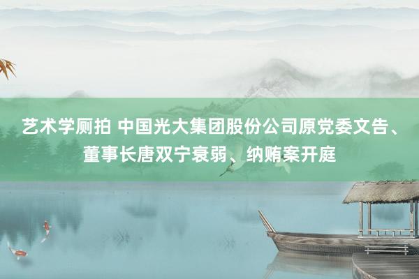 艺术学厕拍 中国光大集团股份公司原党委文告、董事长唐双宁衰弱、纳贿案开庭