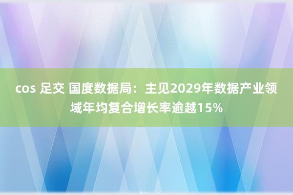 cos 足交 国度数据局：主见2029年数据产业领域年均复合增长率逾越15%