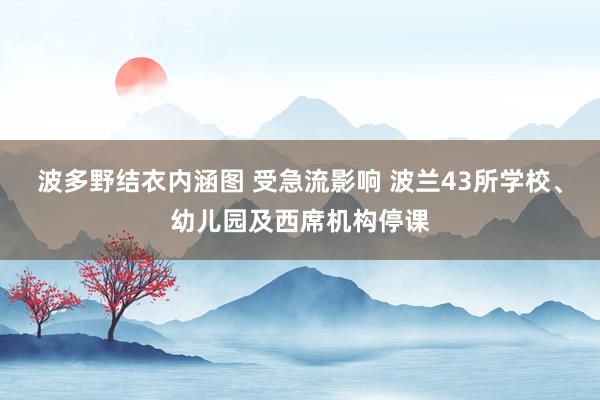 波多野结衣内涵图 受急流影响 波兰43所学校、幼儿园及西席机构停课