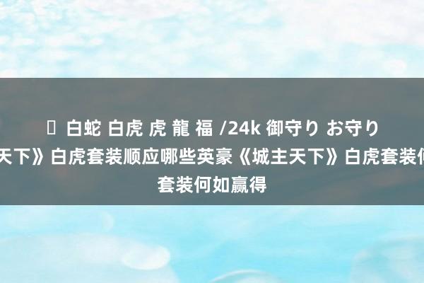 ✨白蛇 白虎 虎 龍 福 /24k 御守り お守り 《城主天下》白虎套装顺应哪些英豪《城主天下》白虎套装何如赢得