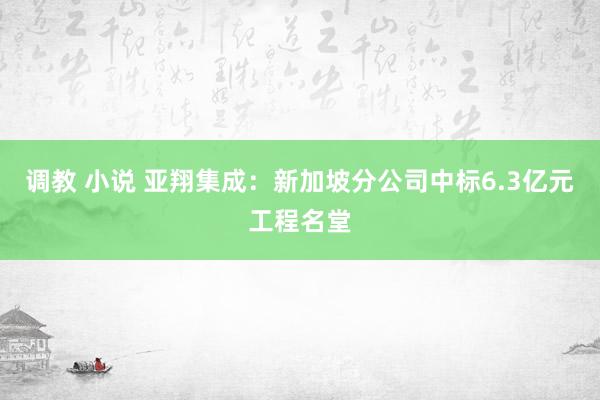 调教 小说 亚翔集成：新加坡分公司中标6.3亿元工程名堂