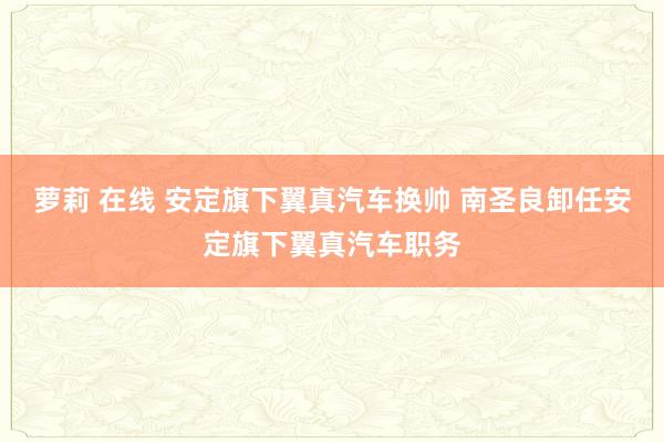 萝莉 在线 安定旗下翼真汽车换帅 南圣良卸任安定旗下翼真汽车职务