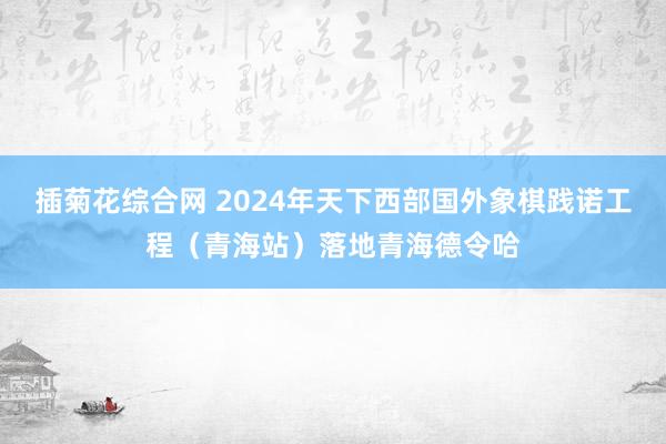 插菊花综合网 2024年天下西部国外象棋践诺工程（青海站）落地青海德令哈