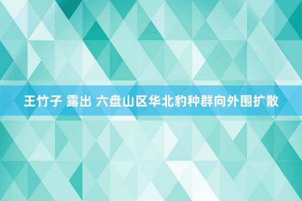 王竹子 露出 六盘山区华北豹种群向外围扩散