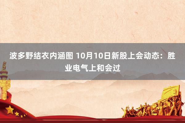 波多野结衣内涵图 10月10日新股上会动态：胜业电气上和会过