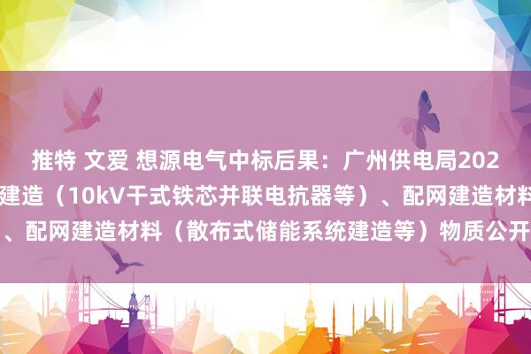 推特 文爱 想源电气中标后果：广州供电局2024年第8批专项主网一次建造（10kV干式铁芯并联电抗器等）、配网建造材料（散布式储能系统建造等）物质公开招标中标公示