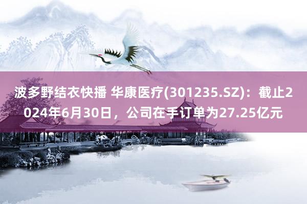 波多野结衣快播 华康医疗(301235.SZ)：截止2024年6月30日，公司在手订单为27.25亿元