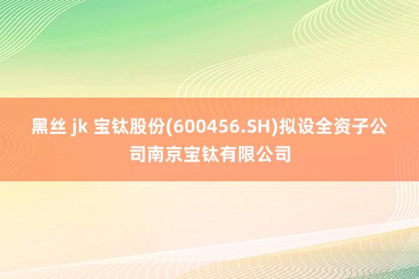 黑丝 jk 宝钛股份(600456.SH)拟设全资子公司南京宝钛有限公司