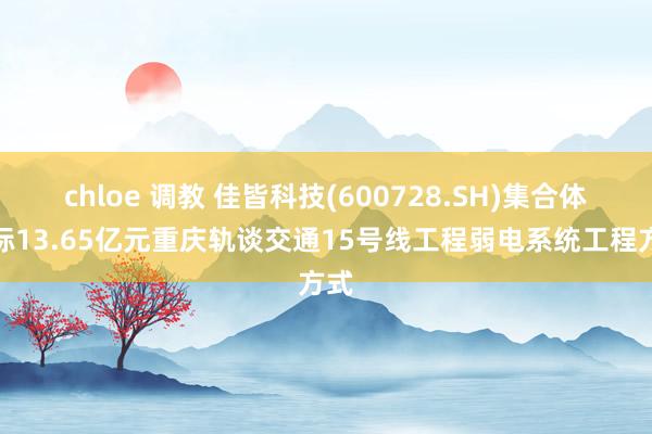 chloe 调教 佳皆科技(600728.SH)集合体中标13.65亿元重庆轨谈交通15号线工程弱电系统工程方式