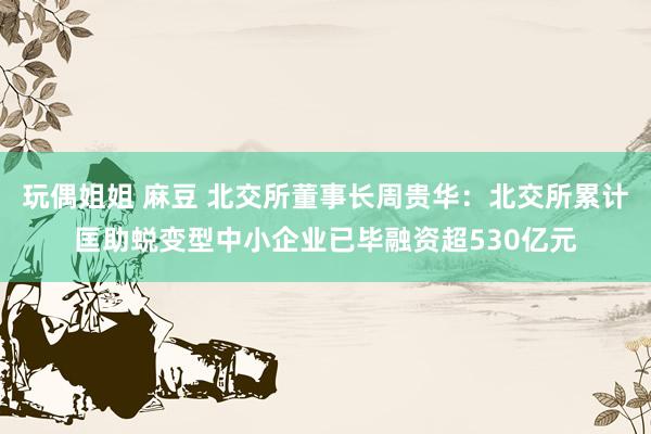 玩偶姐姐 麻豆 北交所董事长周贵华：北交所累计匡助蜕变型中小企业已毕融资超530亿元