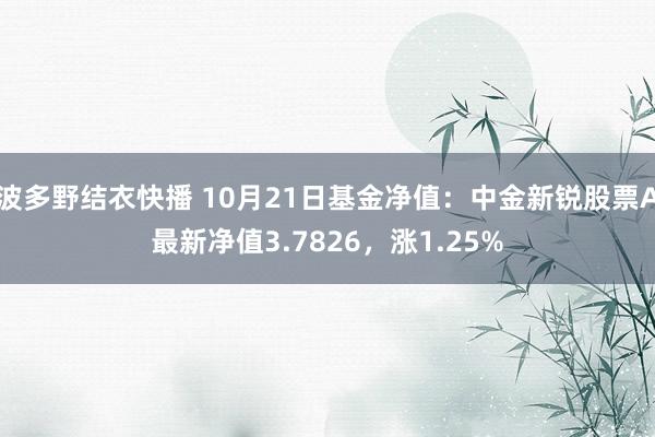 波多野结衣快播 10月21日基金净值：中金新锐股票A最新净值3.7826，涨1.25%