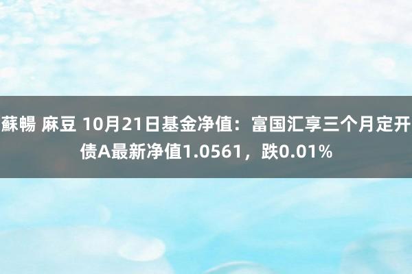 蘇暢 麻豆 10月21日基金净值：富国汇享三个月定开债A最新净值1.0561，跌0.01%