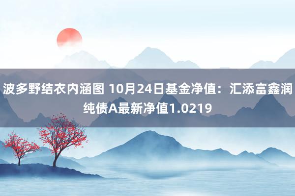 波多野结衣内涵图 10月24日基金净值：汇添富鑫润纯债A最新净值1.0219