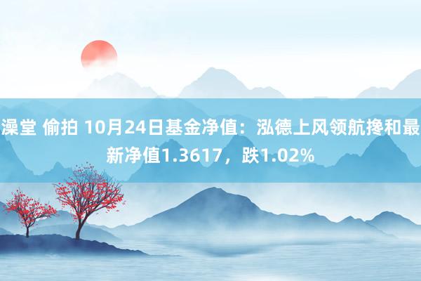 澡堂 偷拍 10月24日基金净值：泓德上风领航搀和最新净值1.3617，跌1.02%