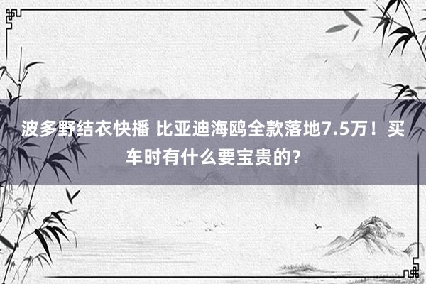 波多野结衣快播 比亚迪海鸥全款落地7.5万！买车时有什么要宝贵的？