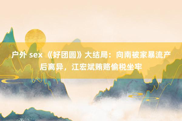 户外 sex 《好团圆》大结局：向南被家暴流产后离异，江宏斌贿赂偷税坐牢