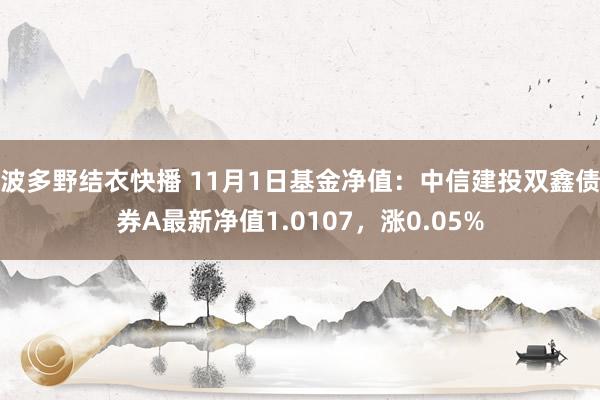 波多野结衣快播 11月1日基金净值：中信建投双鑫债券A最新净值1.0107，涨0.05%