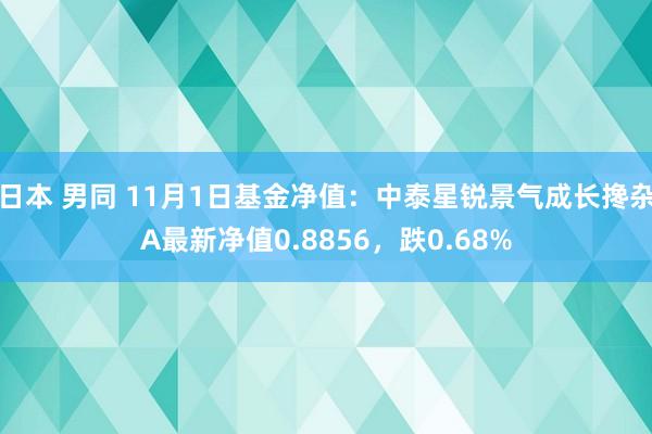 日本 男同 11月1日基金净值：中泰星锐景气成长搀杂A最新净值0.8856，跌0.68%