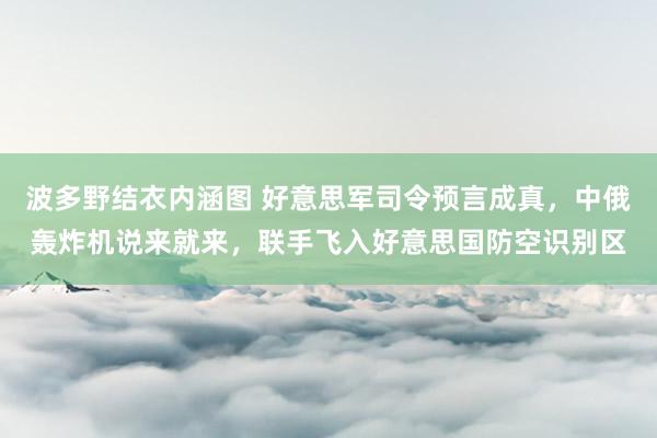 波多野结衣内涵图 好意思军司令预言成真，中俄轰炸机说来就来，联手飞入好意思国防空识别区