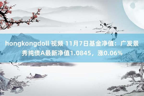 hongkongdoll 视频 11月7日基金净值：广发景秀纯债A最新净值1.0845，涨0.06%