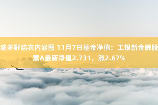 波多野结衣内涵图 11月7日基金净值：工银新金融股票A最新净值2.731，涨2.67%