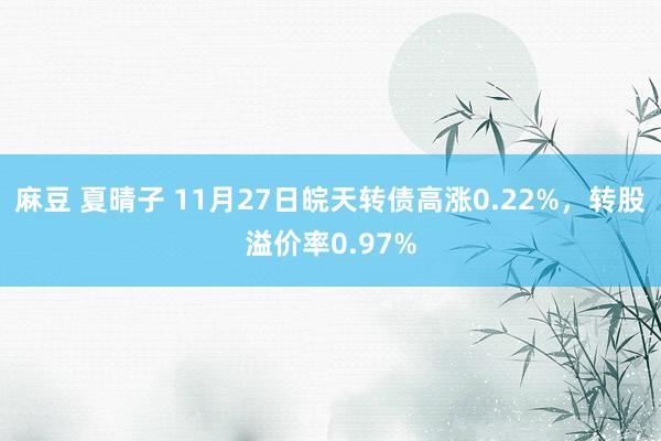 麻豆 夏晴子 11月27日皖天转债高涨0.22%，转股溢价率0.97%