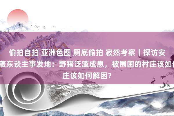 偷拍自拍 亚洲色图 厕底偷拍 寂然考察｜探访安康野猪袭东谈主事发地：野猪泛滥成患，被围困的村庄该如何解困？