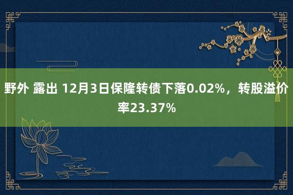 野外 露出 12月3日保隆转债下落0.02%，转股溢价率23.37%