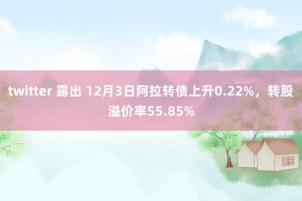 twitter 露出 12月3日阿拉转债上升0.22%，转股溢价率55.85%