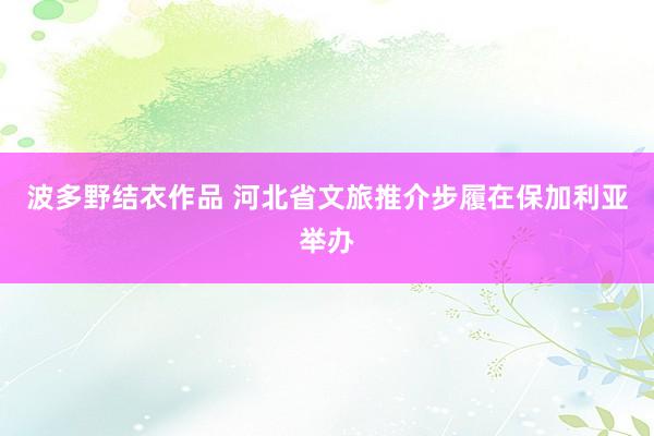 波多野结衣作品 河北省文旅推介步履在保加利亚举办