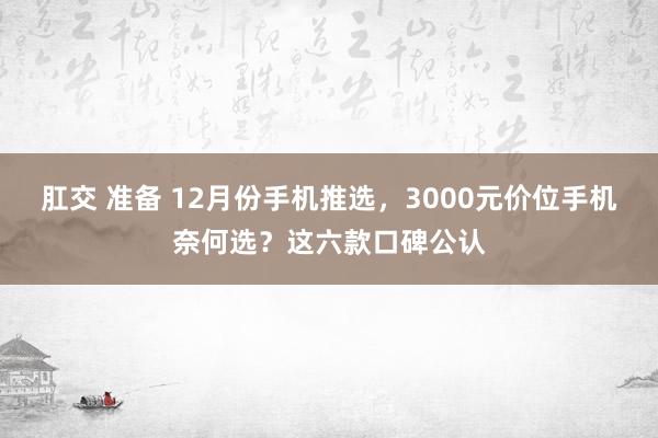 肛交 准备 12月份手机推选，3000元价位手机奈何选？这六款口碑公认