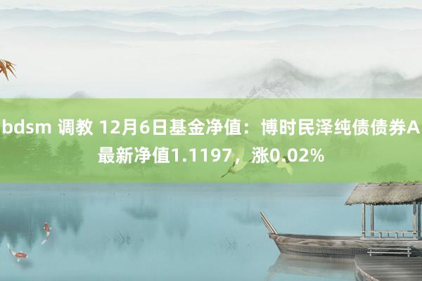 bdsm 调教 12月6日基金净值：博时民泽纯债债券A最新净值1.1197，涨0.02%