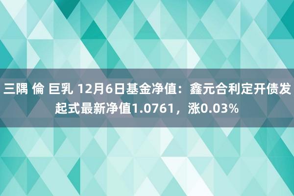 三隅 倫 巨乳 12月6日基金净值：鑫元合利定开债发起式最新净值1.0761，涨0.03%