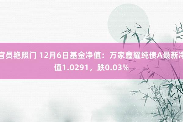 官员艳照门 12月6日基金净值：万家鑫耀纯债A最新净值1.0291，跌0.03%