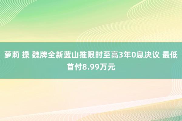 萝莉 操 魏牌全新蓝山推限时至高3年0息决议 最低首付8.99万元