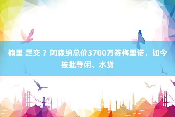 楠里 足交 ？阿森纳总价3700万签梅里诺，如今被批等闲、水货