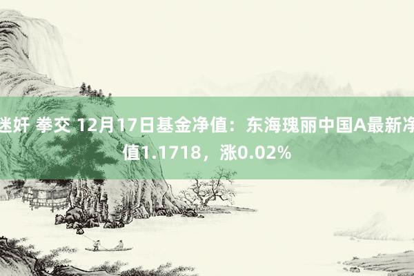 迷奸 拳交 12月17日基金净值：东海瑰丽中国A最新净值1.1718，涨0.02%