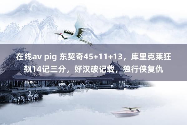 在线av pig 东契奇45+11+13，库里克莱狂飙14记三分，好汉破记载，独行侠复仇