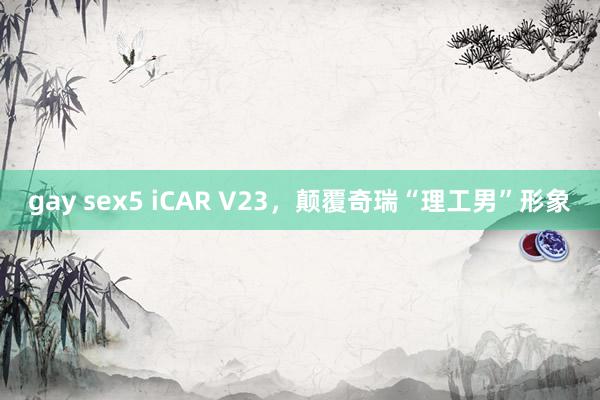 gay sex5 iCAR V23，颠覆奇瑞“理工男”形象