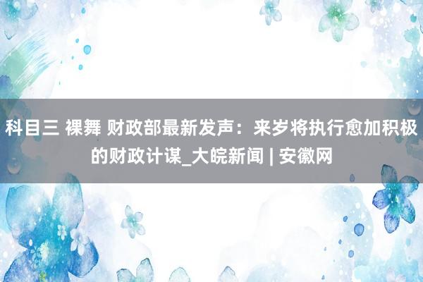 科目三 裸舞 财政部最新发声：来岁将执行愈加积极的财政计谋_大皖新闻 | 安徽网