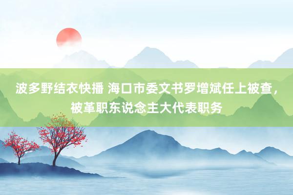 波多野结衣快播 海口市委文书罗增斌任上被查，被革职东说念主大代表职务