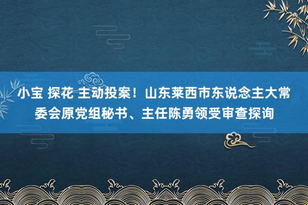 小宝 探花 主动投案！山东莱西市东说念主大常委会原党组秘书、主任陈勇领受审查探询