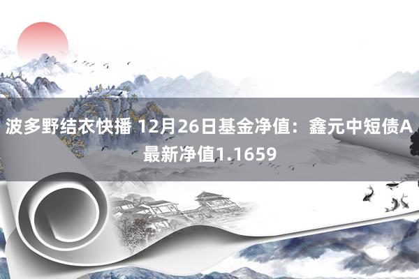 波多野结衣快播 12月26日基金净值：鑫元中短债A最新净值1.1659